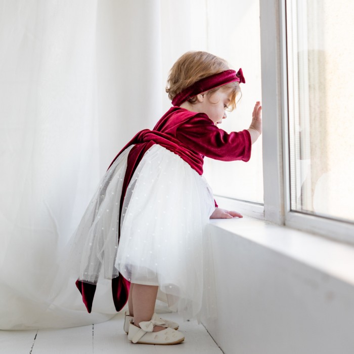 Red Velvet Dress New Year 