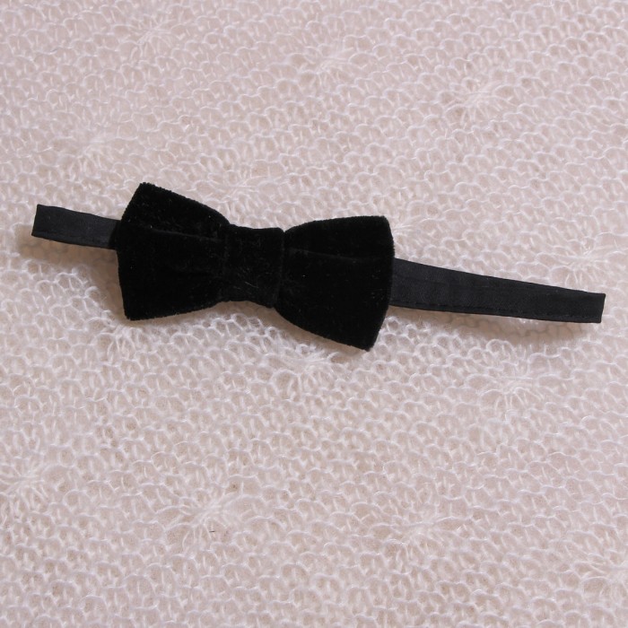 Stylish Boys' Bow Ties in White or Ivory