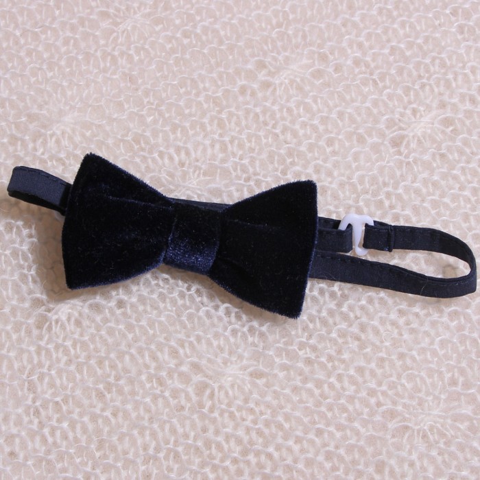 Stylish Boys' Bow Ties in White or Ivory