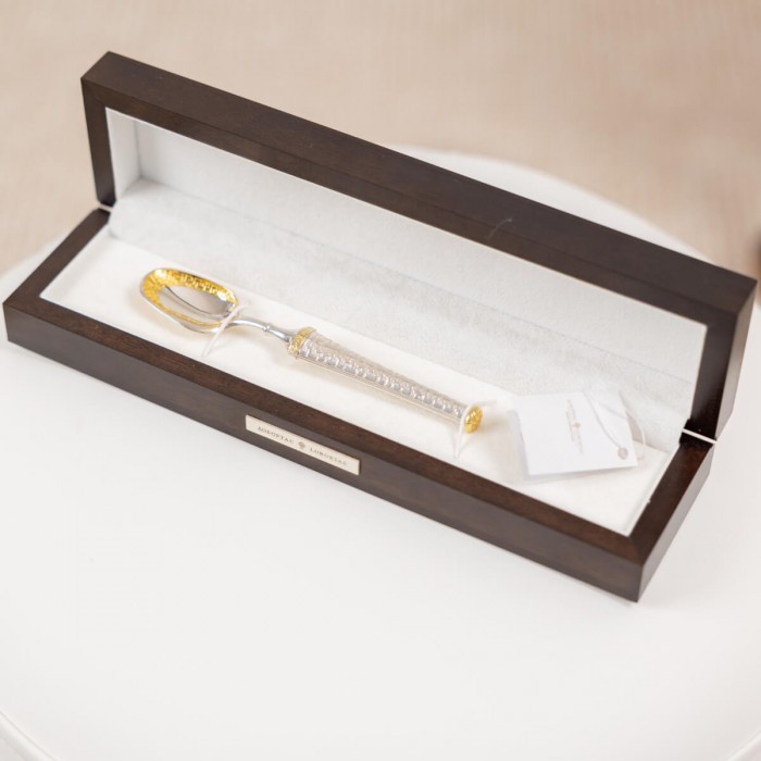 Elegant Keepsake: Baby Silver and Gold Spoon Magic